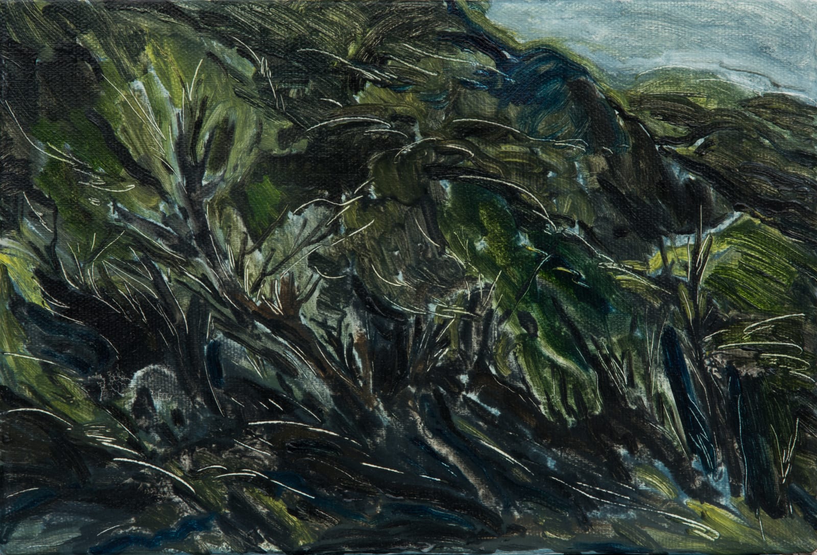 劉致宏, 《樹的幻影2 》Phantom of the Wood 2, 2017