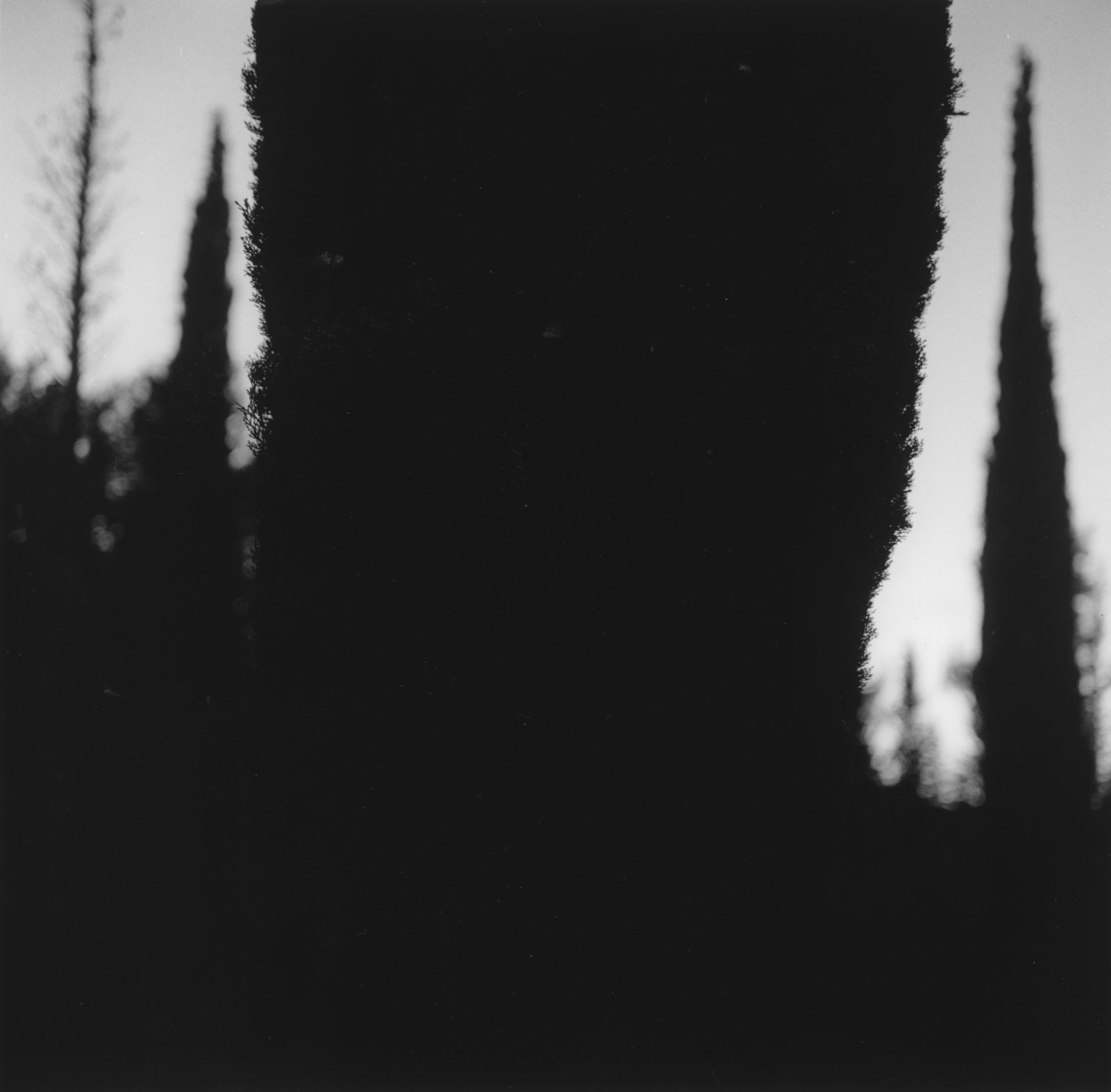 克里斯托弗．戴樂, 《聖博齊爾德拉–西爾夫，朗格多克》 St Bauzille de la Sylve, Languedoc , 2020