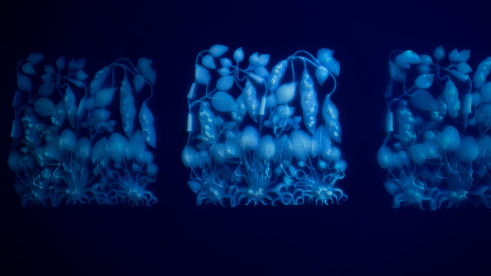 安德利亞・梅達爾, 《流動神殿》 The Fuid Temple , 2022