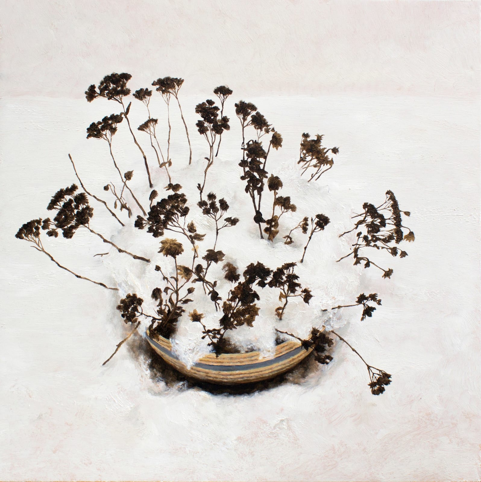 德拉戈斯·巴迪塔, 《白》 White, 2016