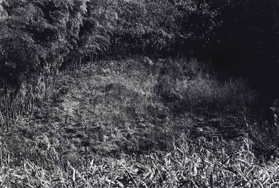 安利．沙拉, 《31°-131》, 2003