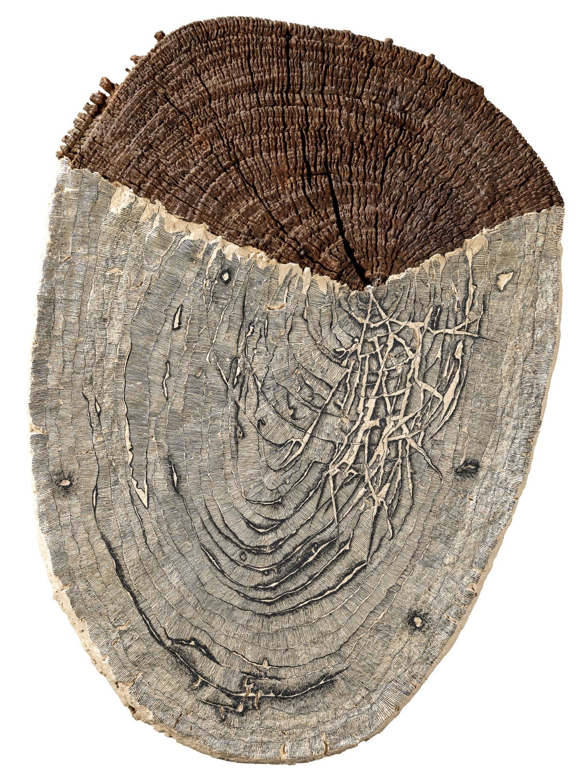 李明則 , 《皺紋》 Wrinkles, 2020