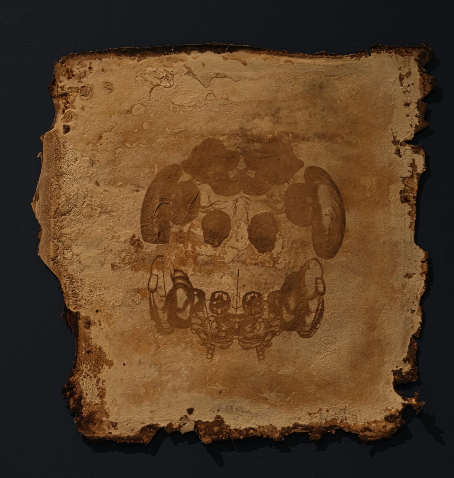 薩伊夫．加里波第, 《印刻 #12》Engrave #12, 2024