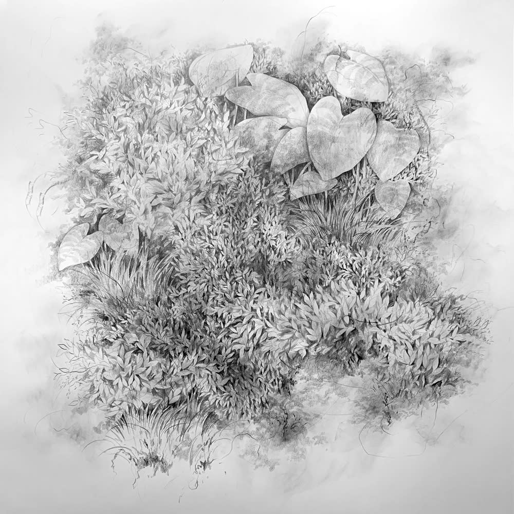 Jem MAGBANUA, i. Taro, 2019