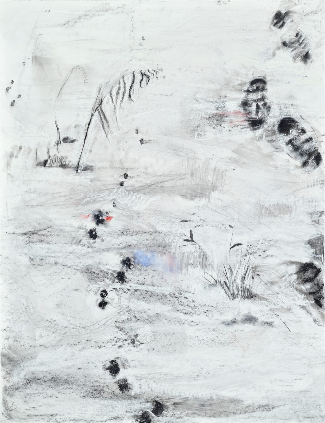 伊萬．德．莫伊沙, 《無名的足跡》Anonimus Traces of a Presence, 2024