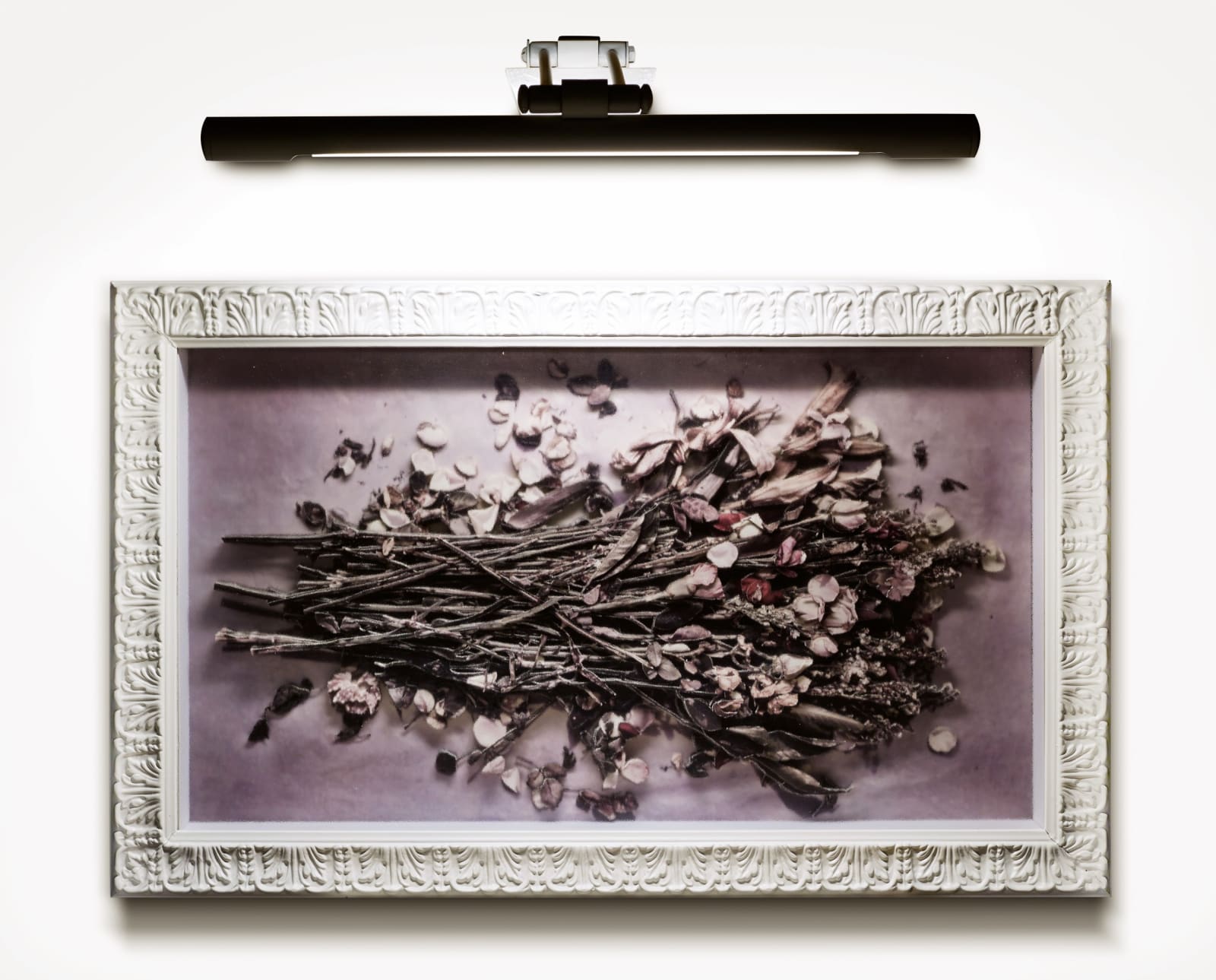 儂那．凱西亞, 《虔誠》 Devout, 2012