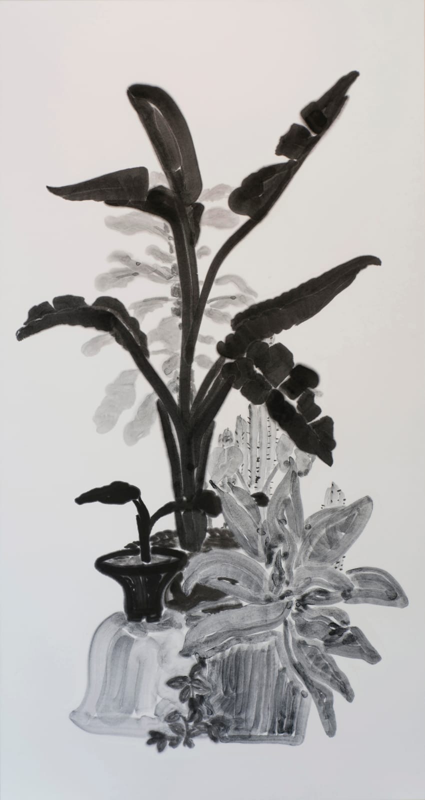 楊寓寧, 《室外植物》 Outdoor Plants, 2022
