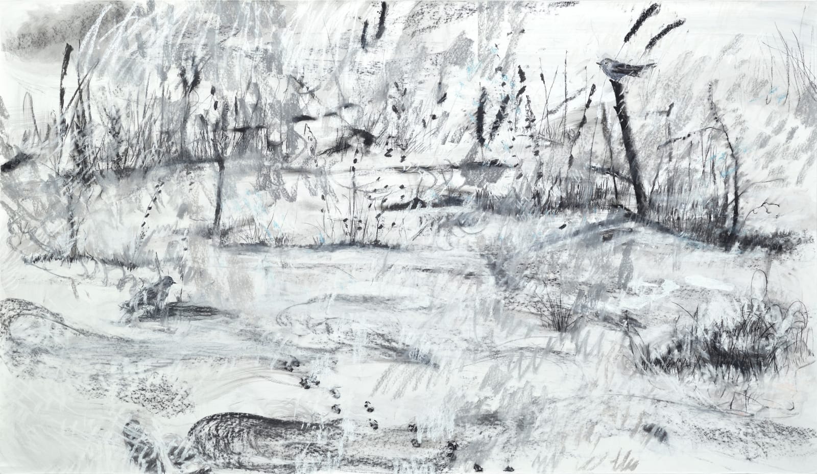 伊萬．德．莫伊沙, 《冬日鳥鳴》Birds Singing in the Snow, 2024