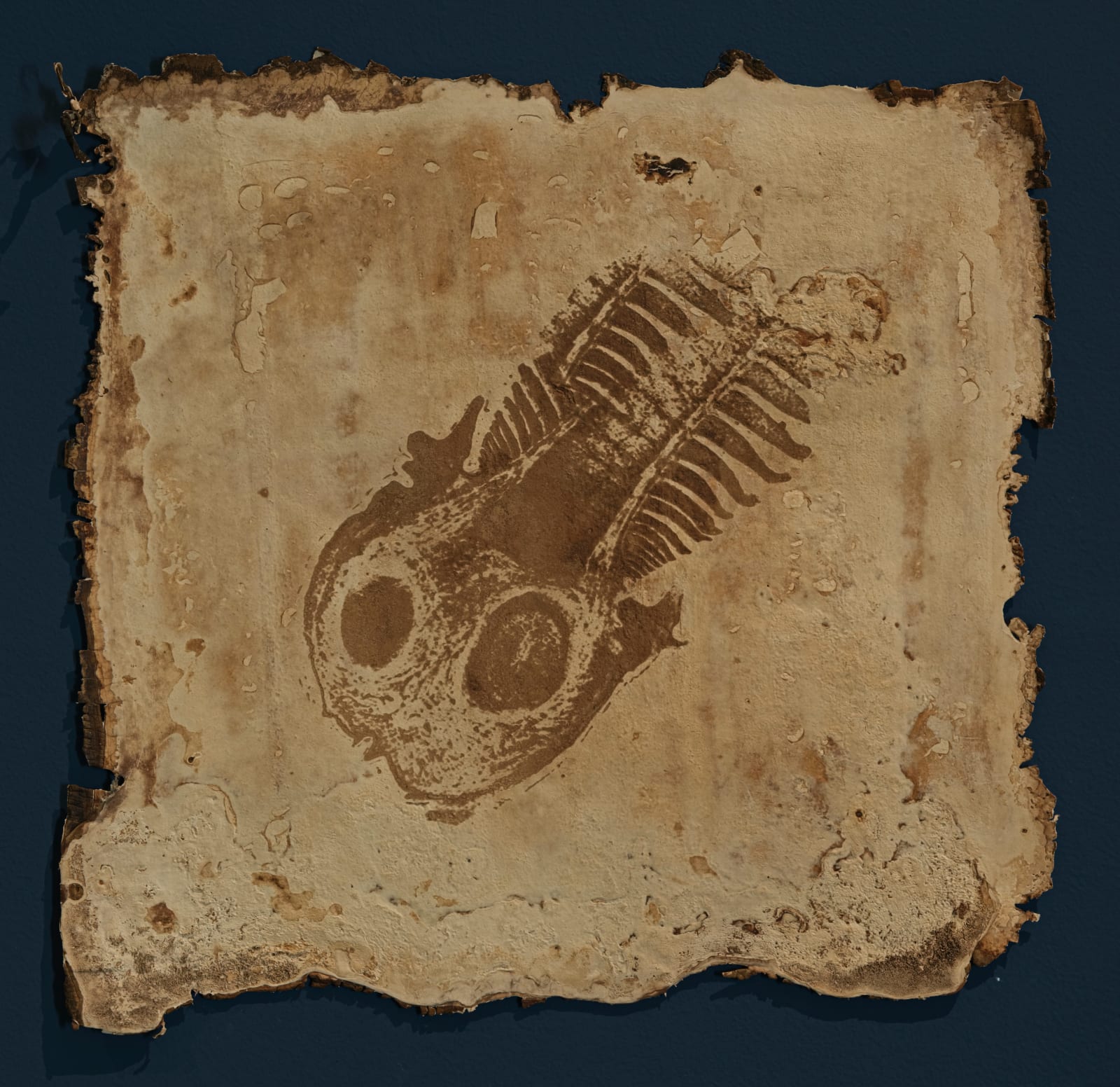 薩伊夫．加里波第, 《印刻 #9》Engrave #9, 2024