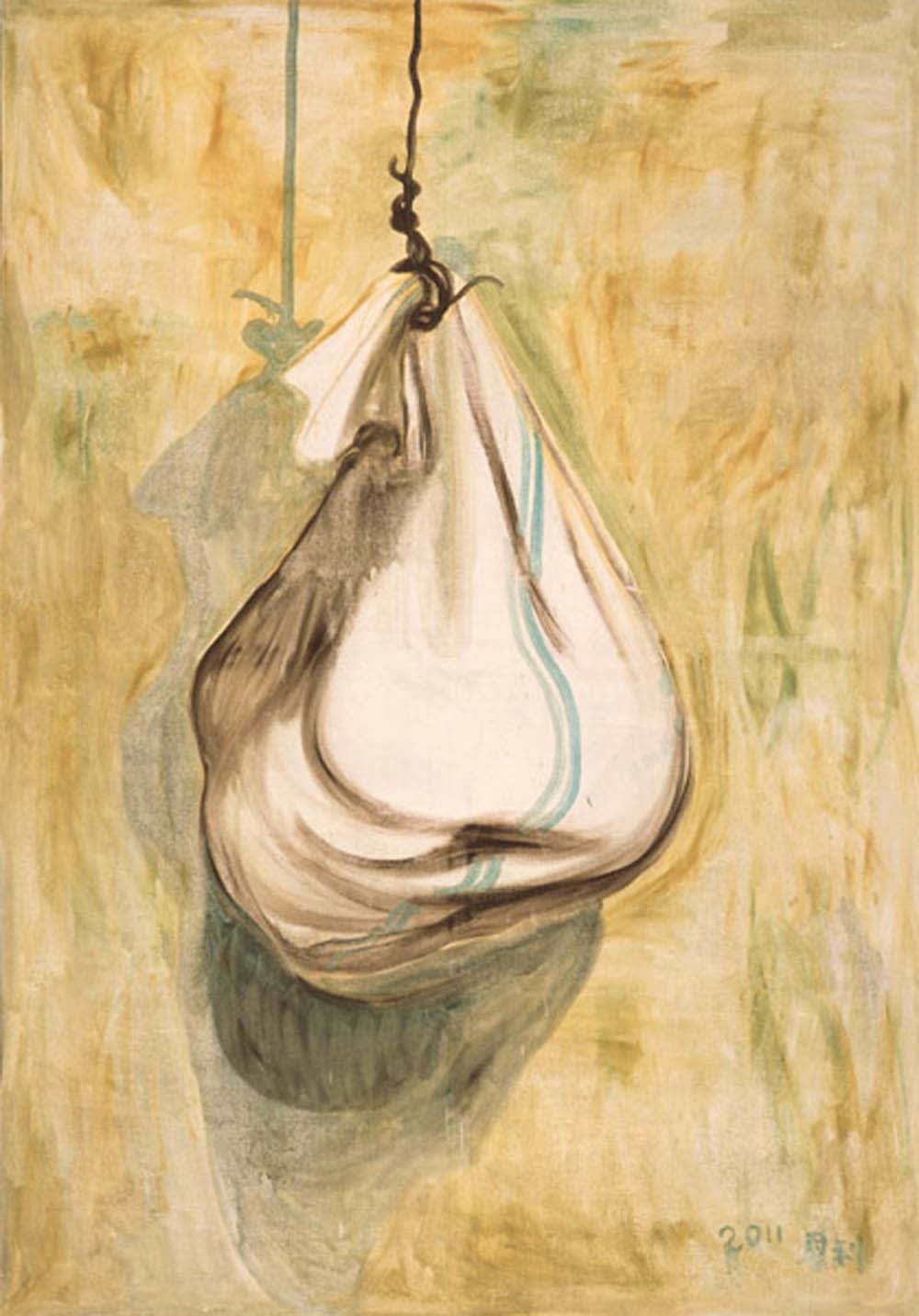 張恩利, 《袋》 A Sack, 2011