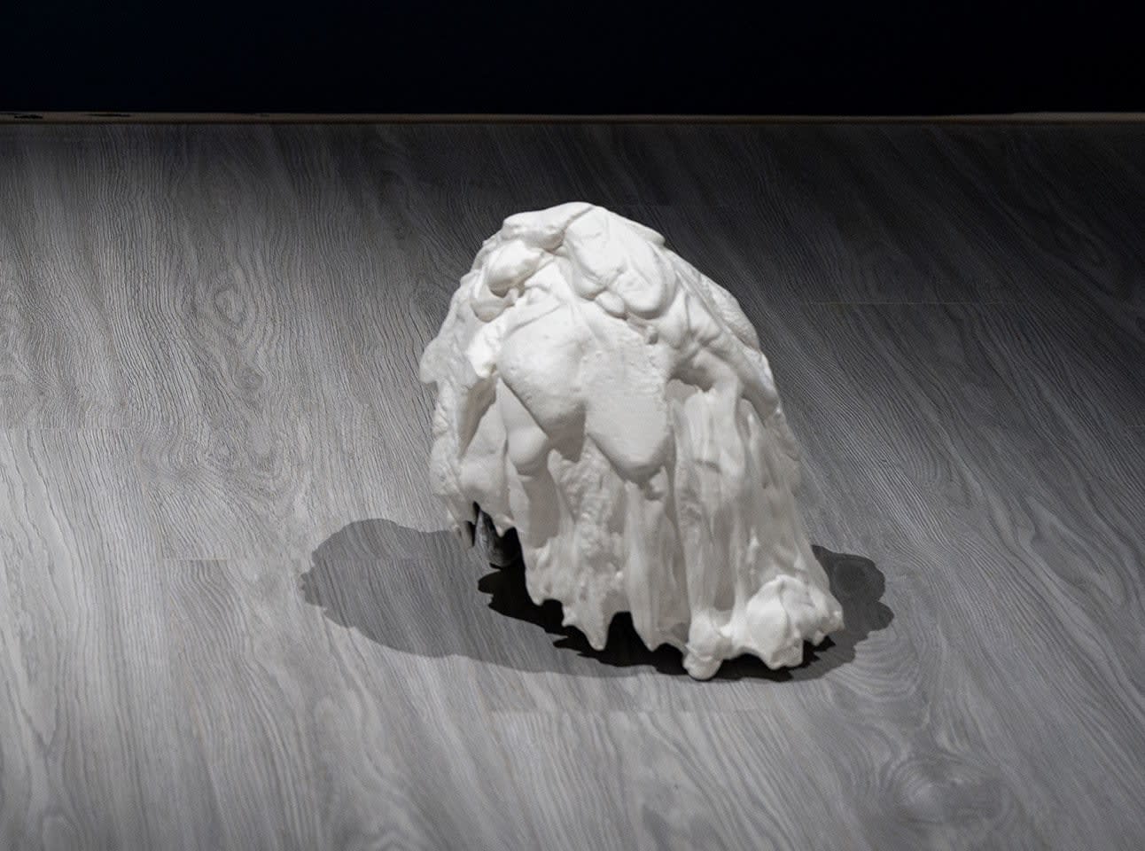 大卷伸嗣, 《漂浮–頭景 II》Flotage - Landscape on the Head II, 2024