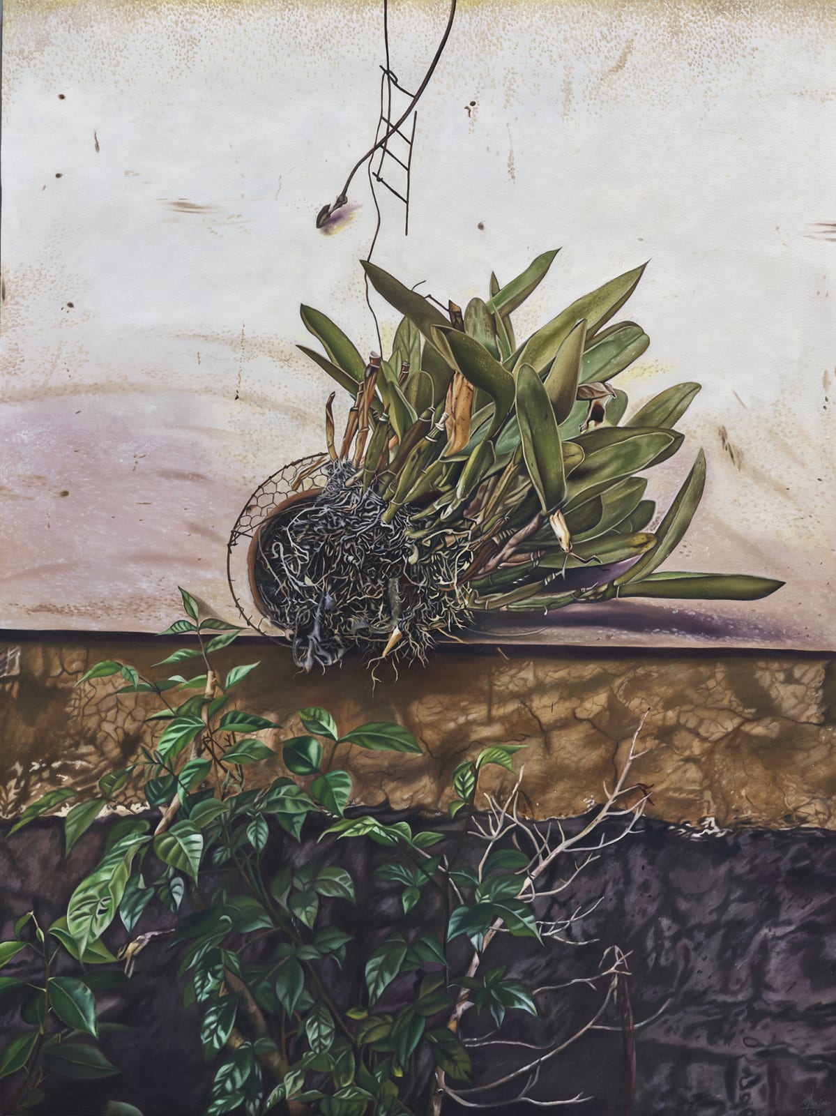 瑪莉娜．克魯斯, 《垂掛植物》 Hanging Plant, 2021