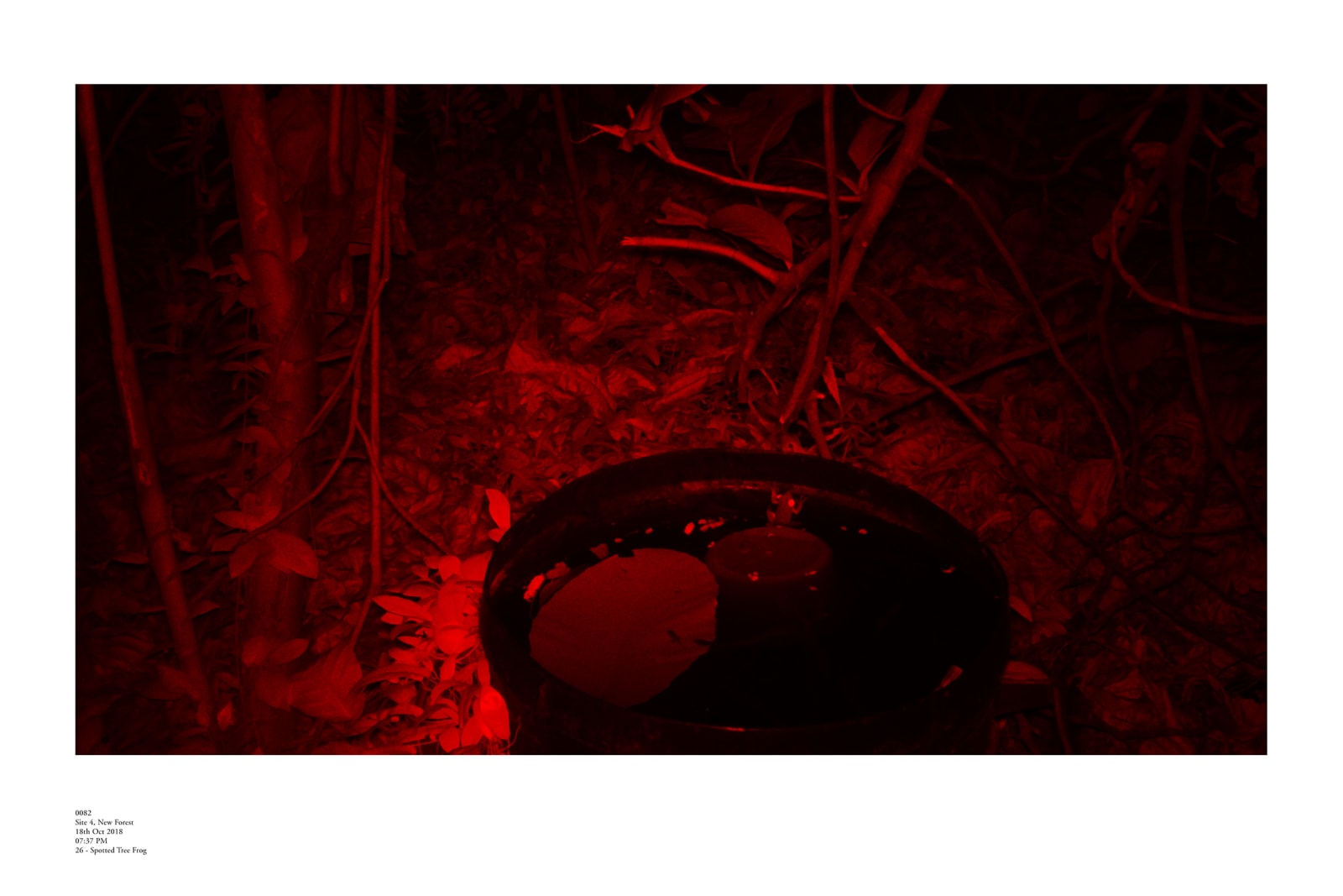 趙仁輝, 《2018年10月18日》 18 Oct 2018, 2018