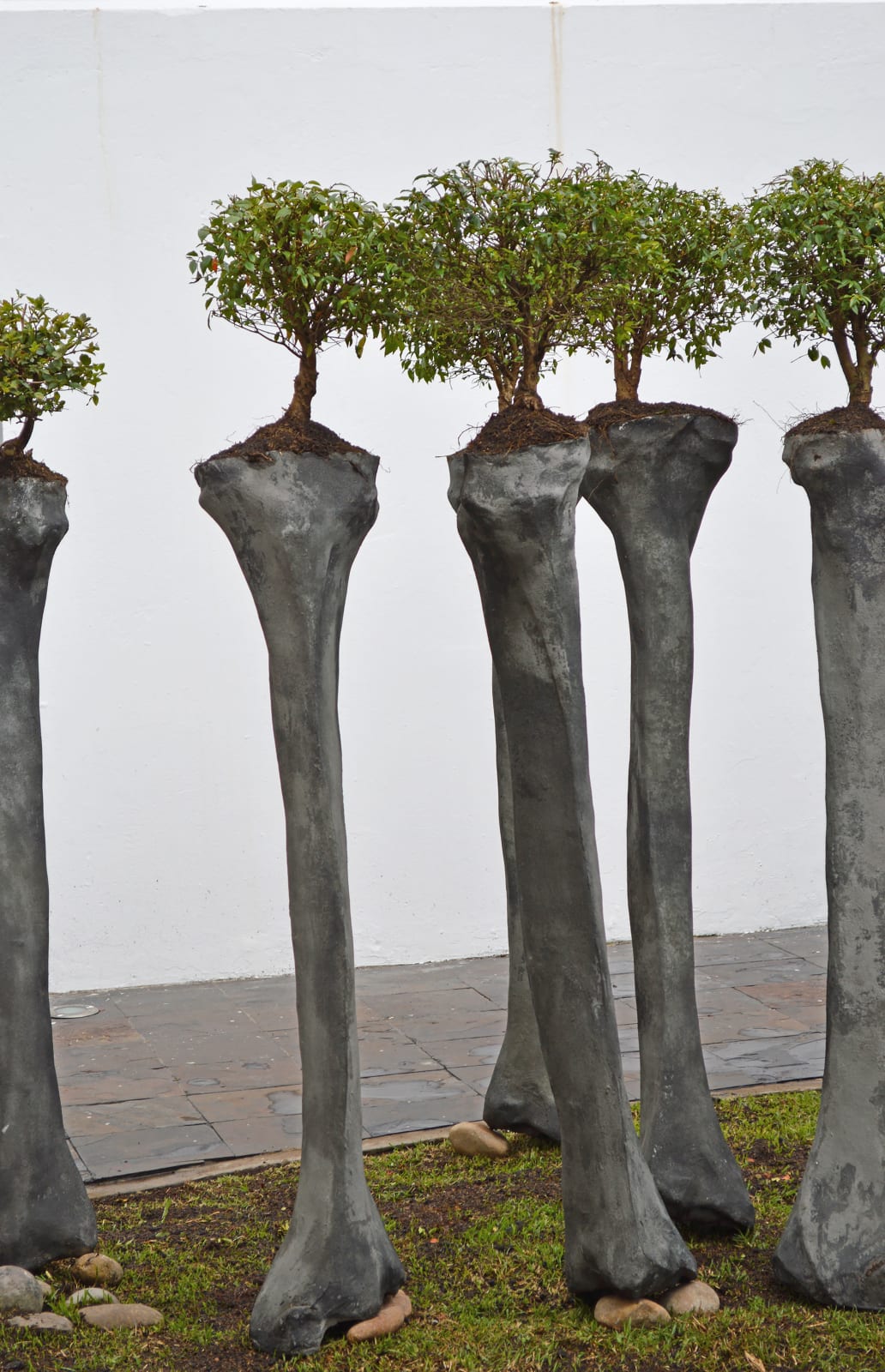 Rafael Gomez Barros, Somos 井 (We are 井), 2013 - 2018
