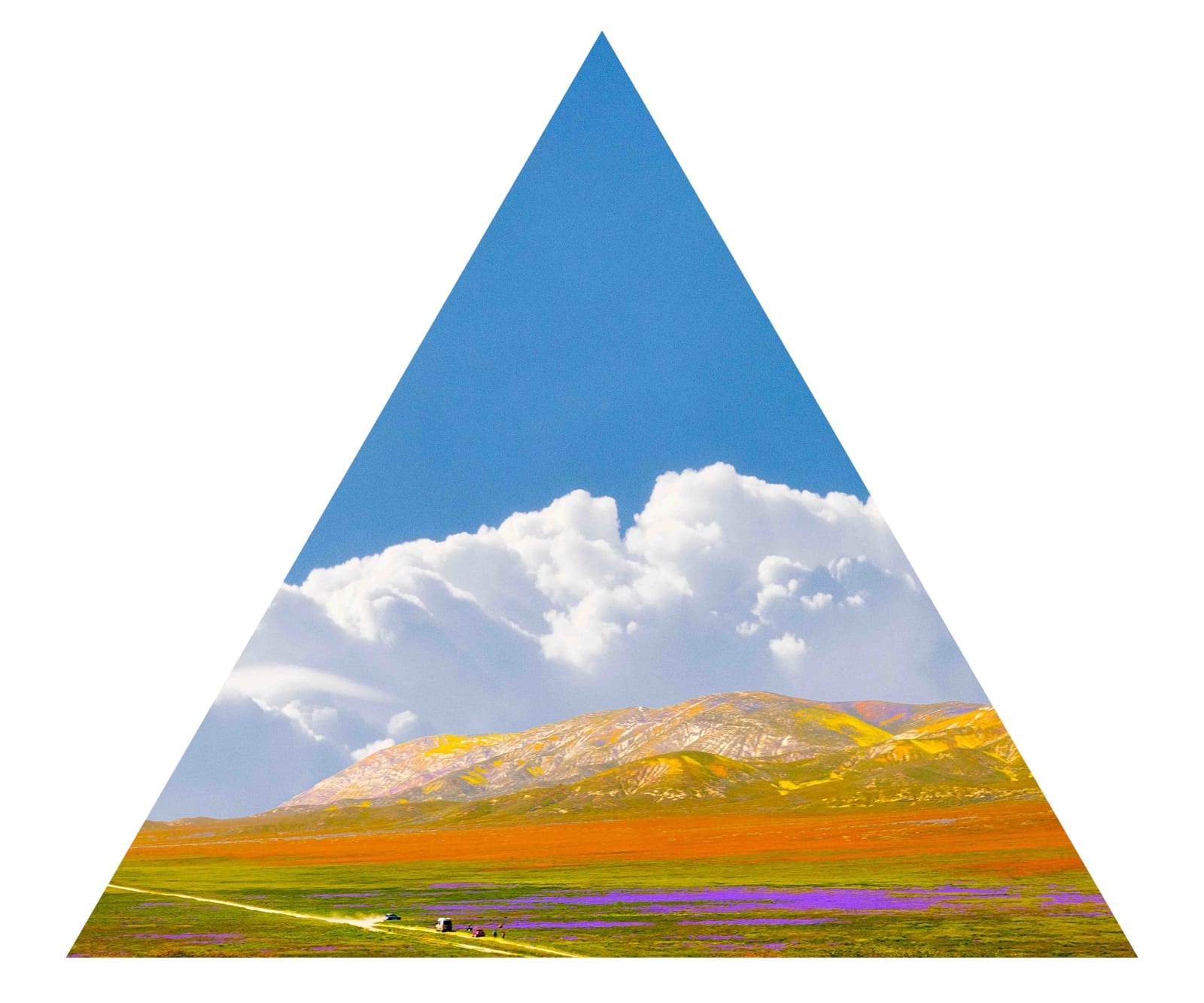 Marco Walker, Superbloom, 2023