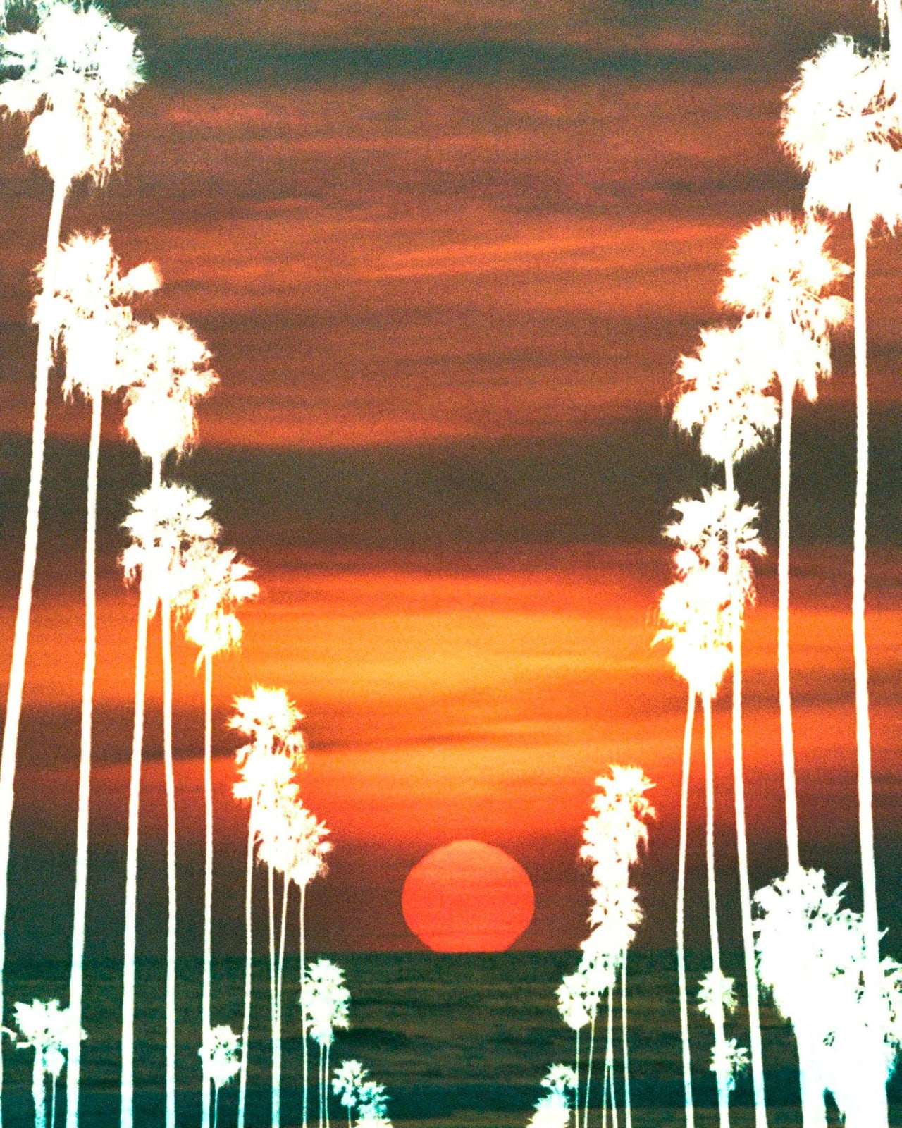 Marco Walker, Ghost Palms, 2023