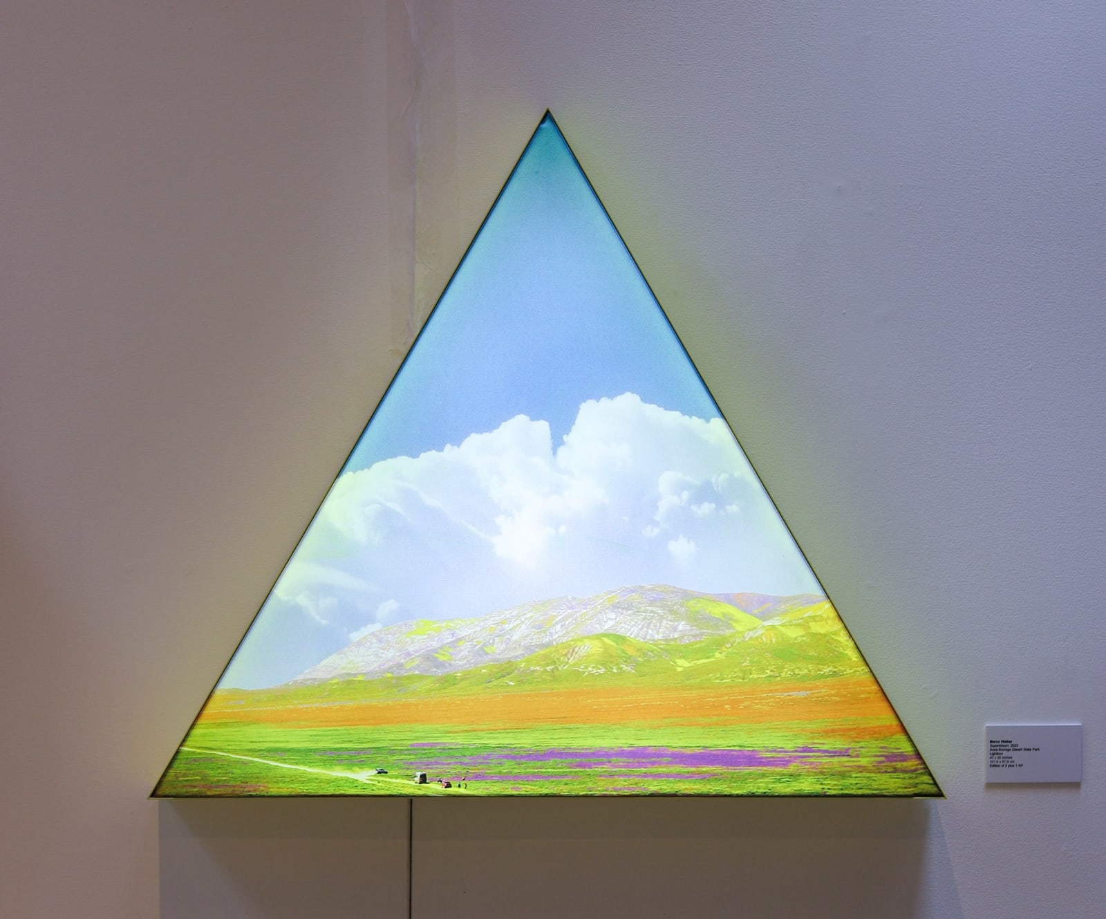 Marco Walker, Superbloom, 2023