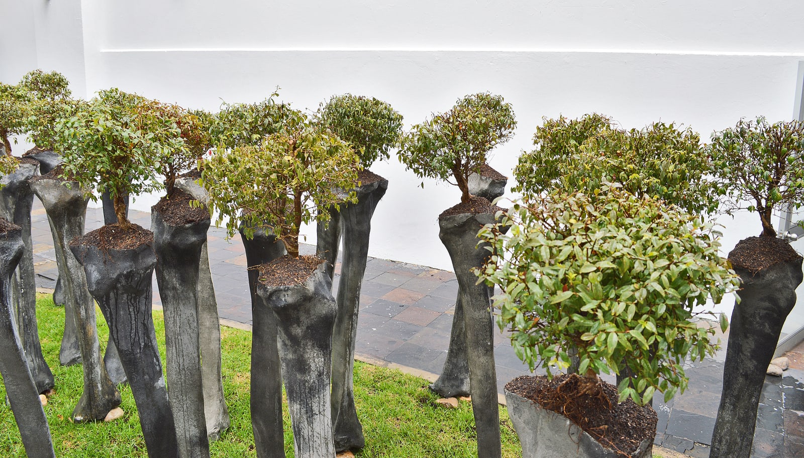 Rafael Gomez Barros, Somos 井 (We are 井), 2013 - 2018