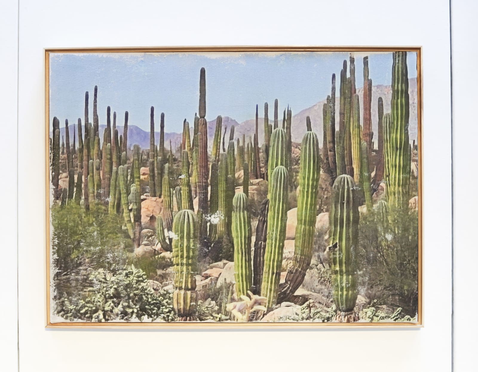 Marco Walker, Baja, 2023