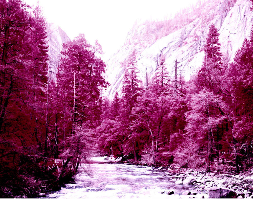 Marco Walker, Ah Wah Nee, 2011