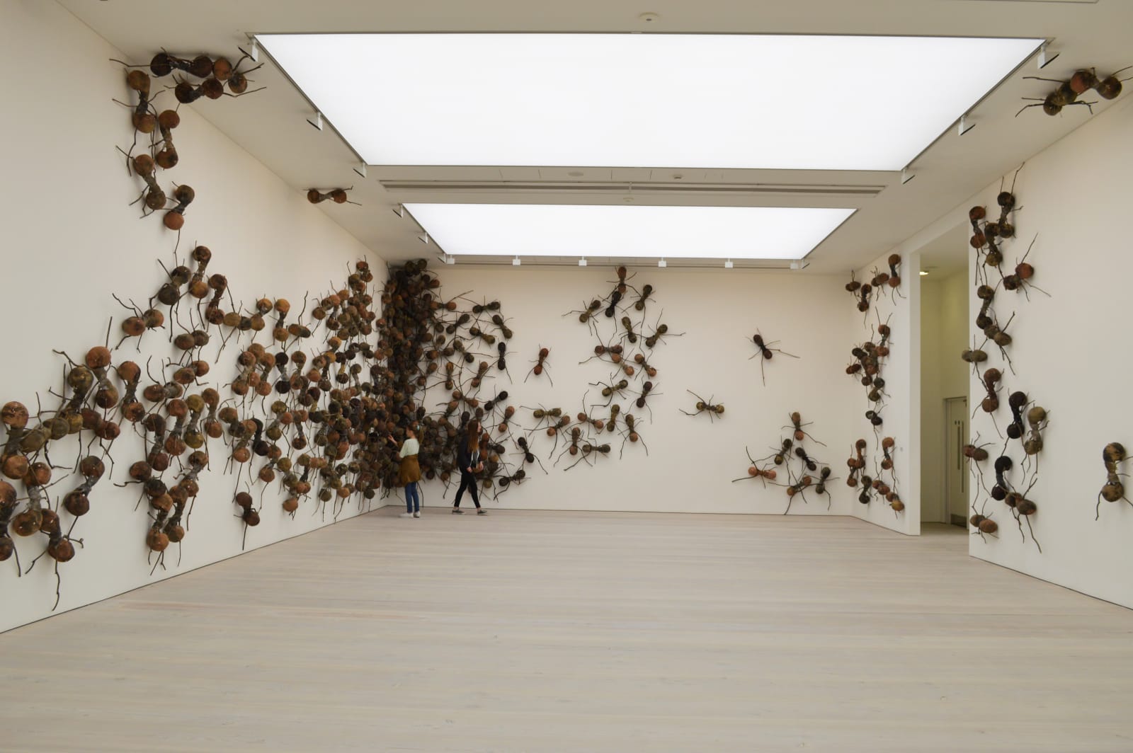 Rafael Gomez Barros, Casa Tomada (Taken House), Saatchi Gallery , 2014