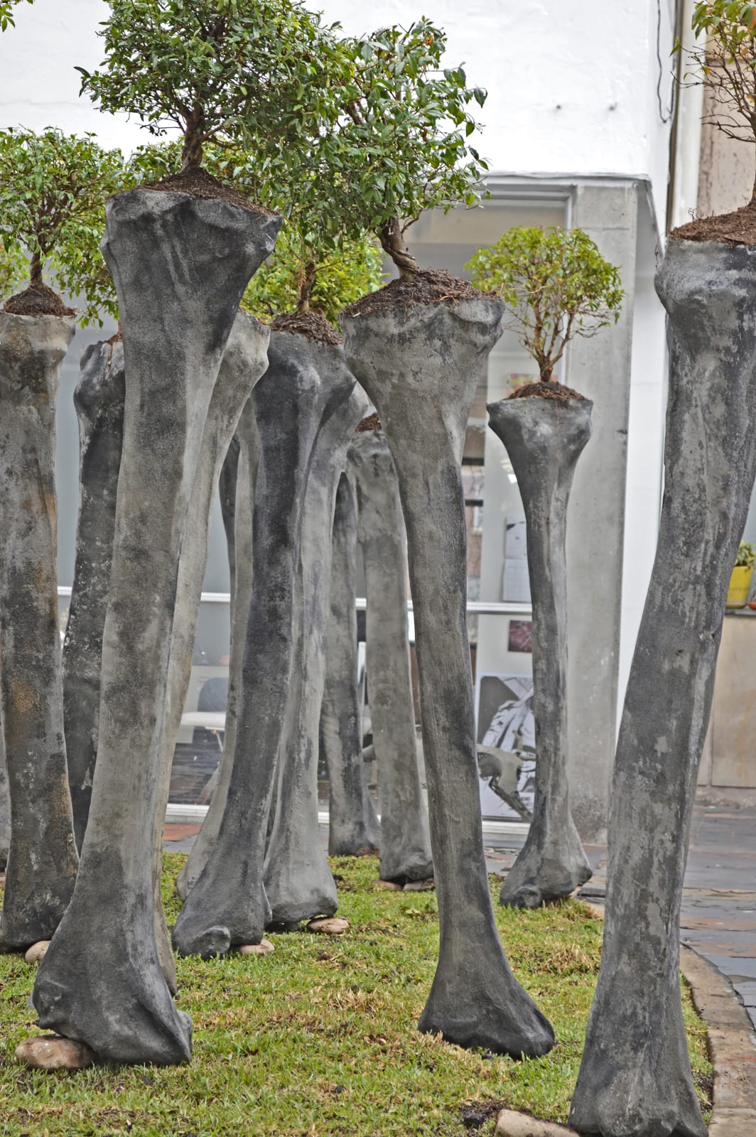 Rafael Gomez Barros, Somos 井 (We are 井), 2013 - 2018