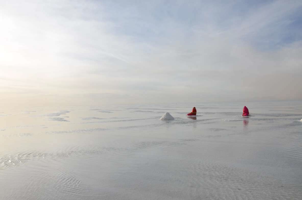 Gaston Ugalde, Untitled