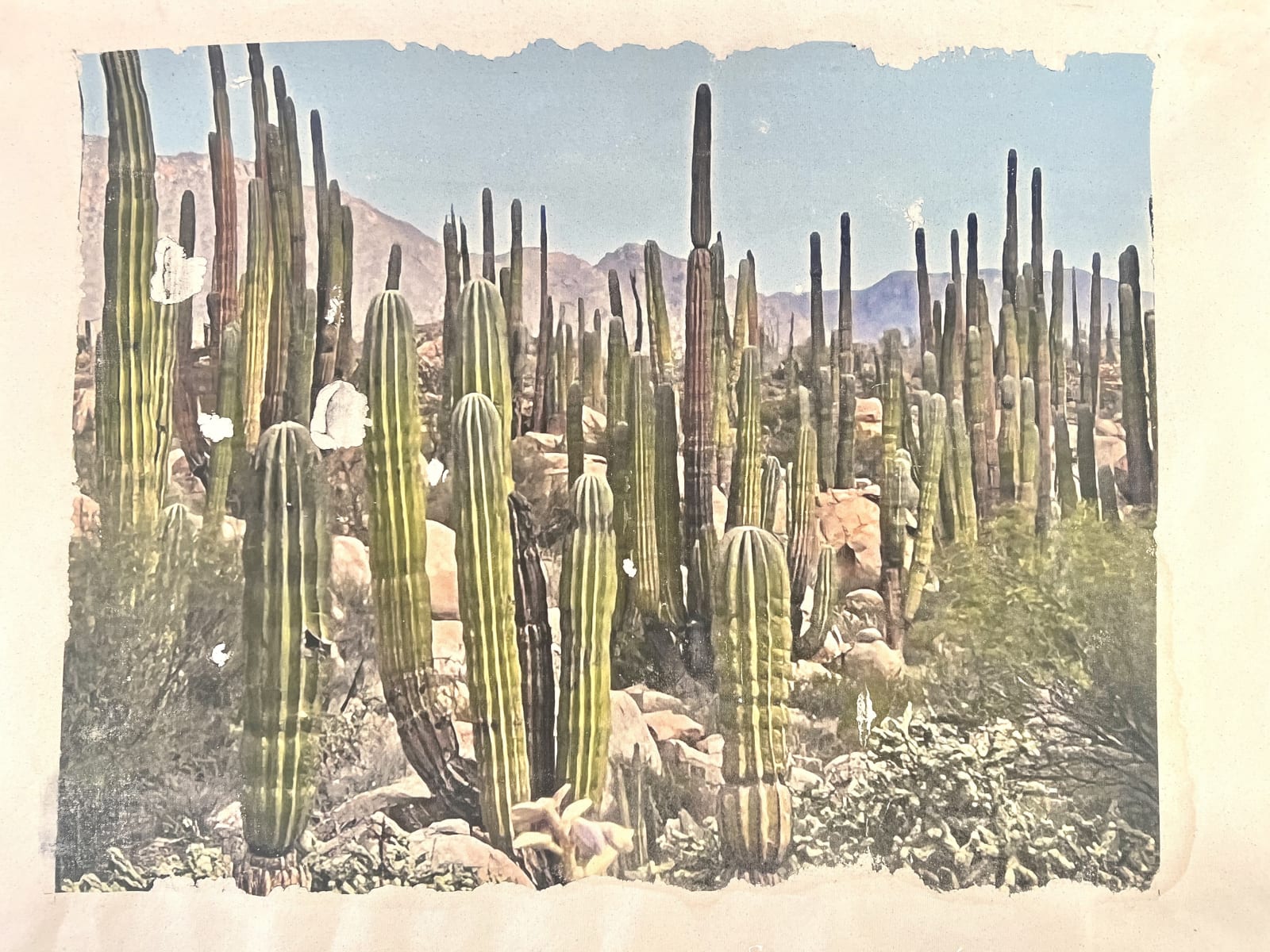 Marco Walker, Baja, 2023