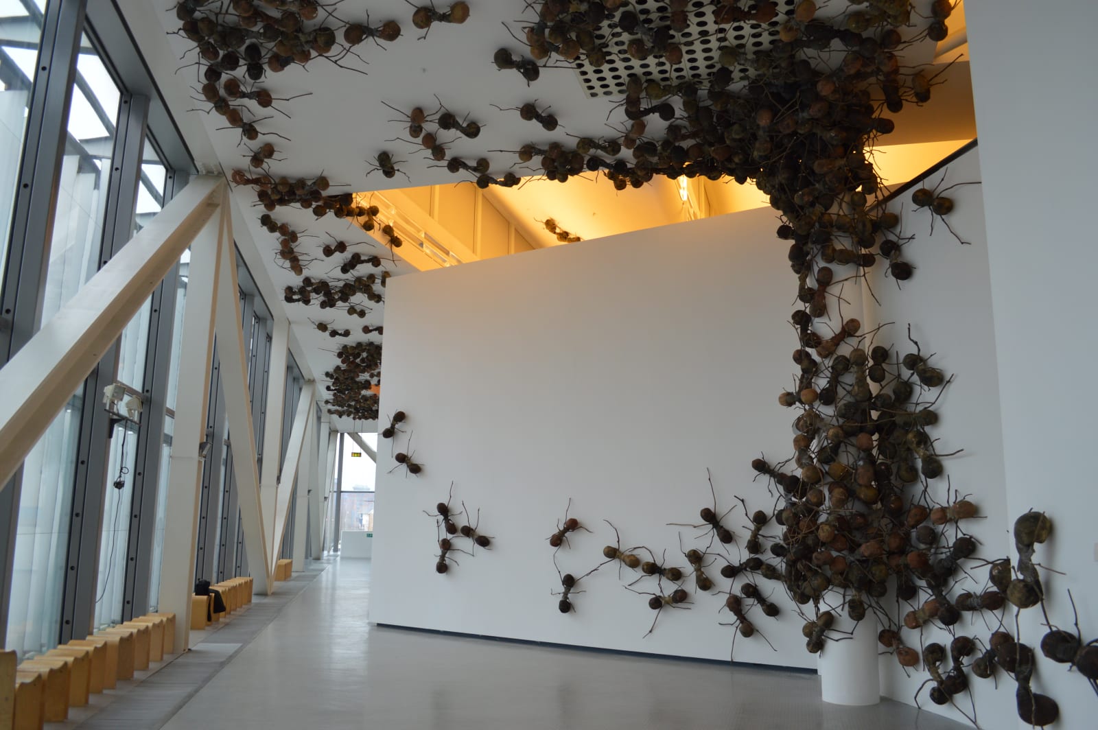 Rafael Gomez Barros, Casa Tomada (Taken House), Saatchi Gallery , 2014