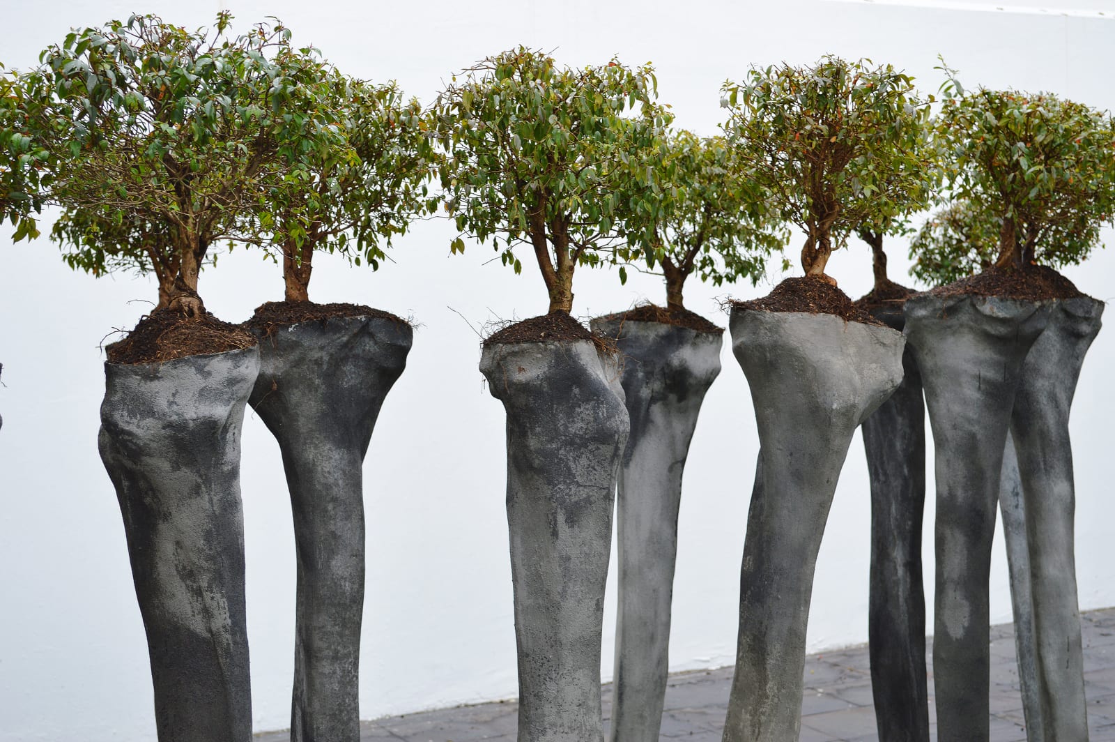 Rafael Gomez Barros, Somos 井 (We are 井), 2013 - 2018