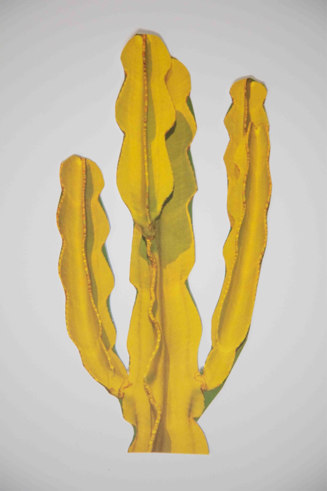 Marco Walker, Desert Cactus, 2023