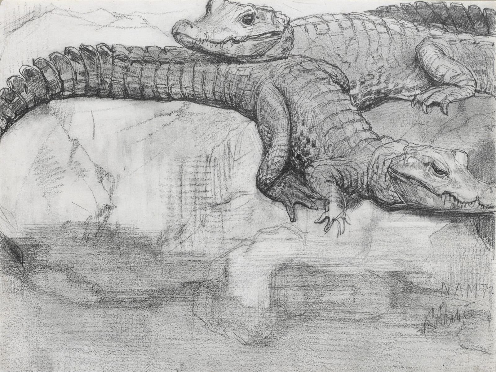 August Allebé, Crocodiles in Artis