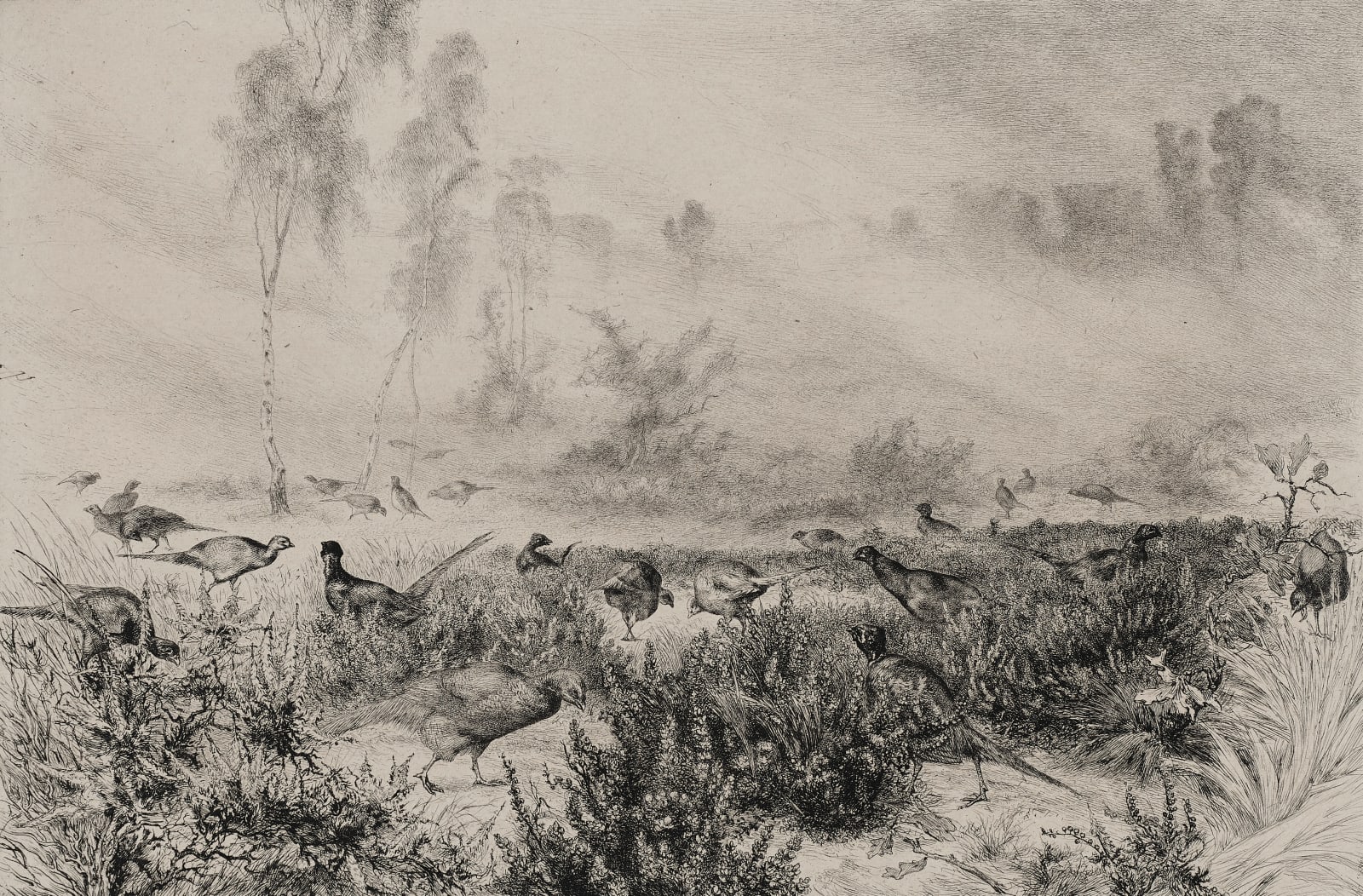 Felix Bracquemond (1833-1914), Morning Mists (Brumes du Matin), 1882