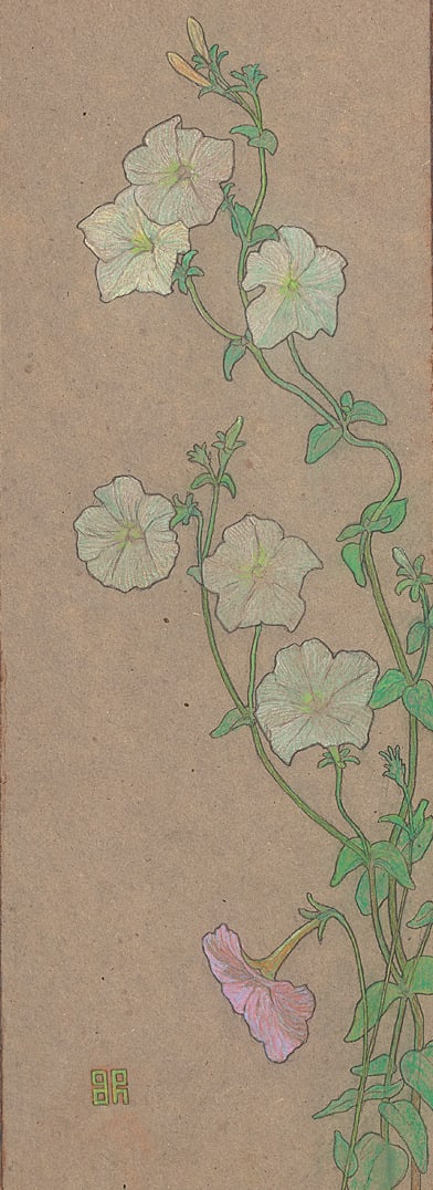 Sigisbert Chrétien Bosch Reitz, Morning Glory