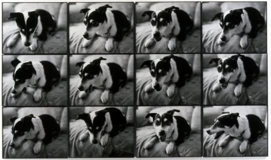 Jonathan Monk, My mother's dog gets nervous when I go home, 2002