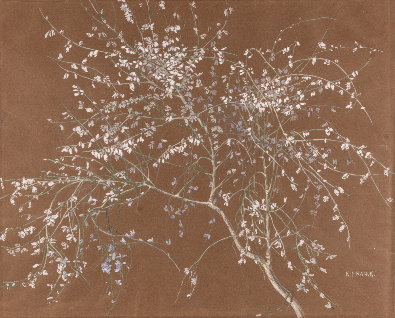 Käthe Franck (1879-1939) Weiβer Ginster (White Gorse), c. 1910s
