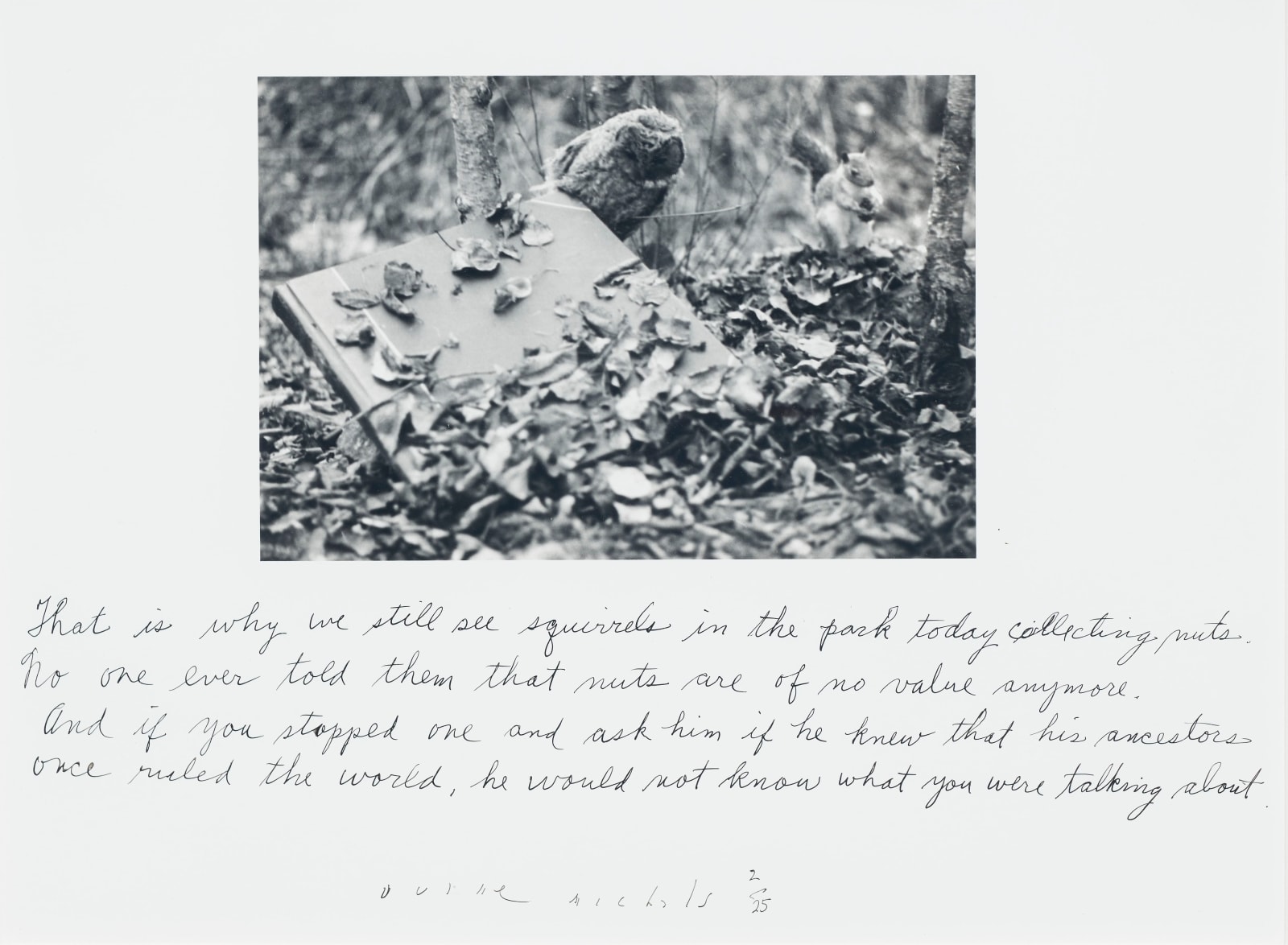 Duane Michals, photograph