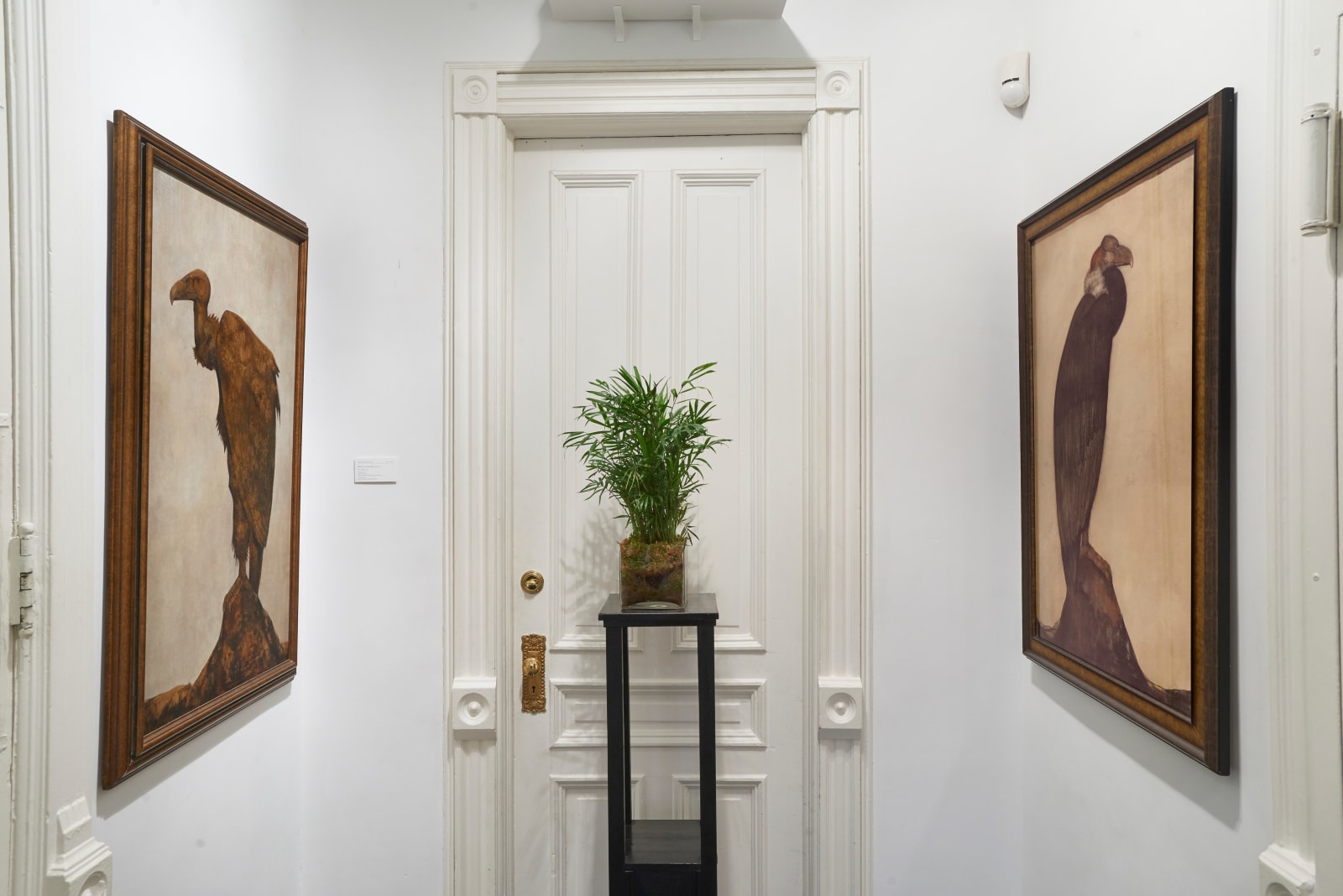 Willem van den Berg (1886-1970) Andean Condor