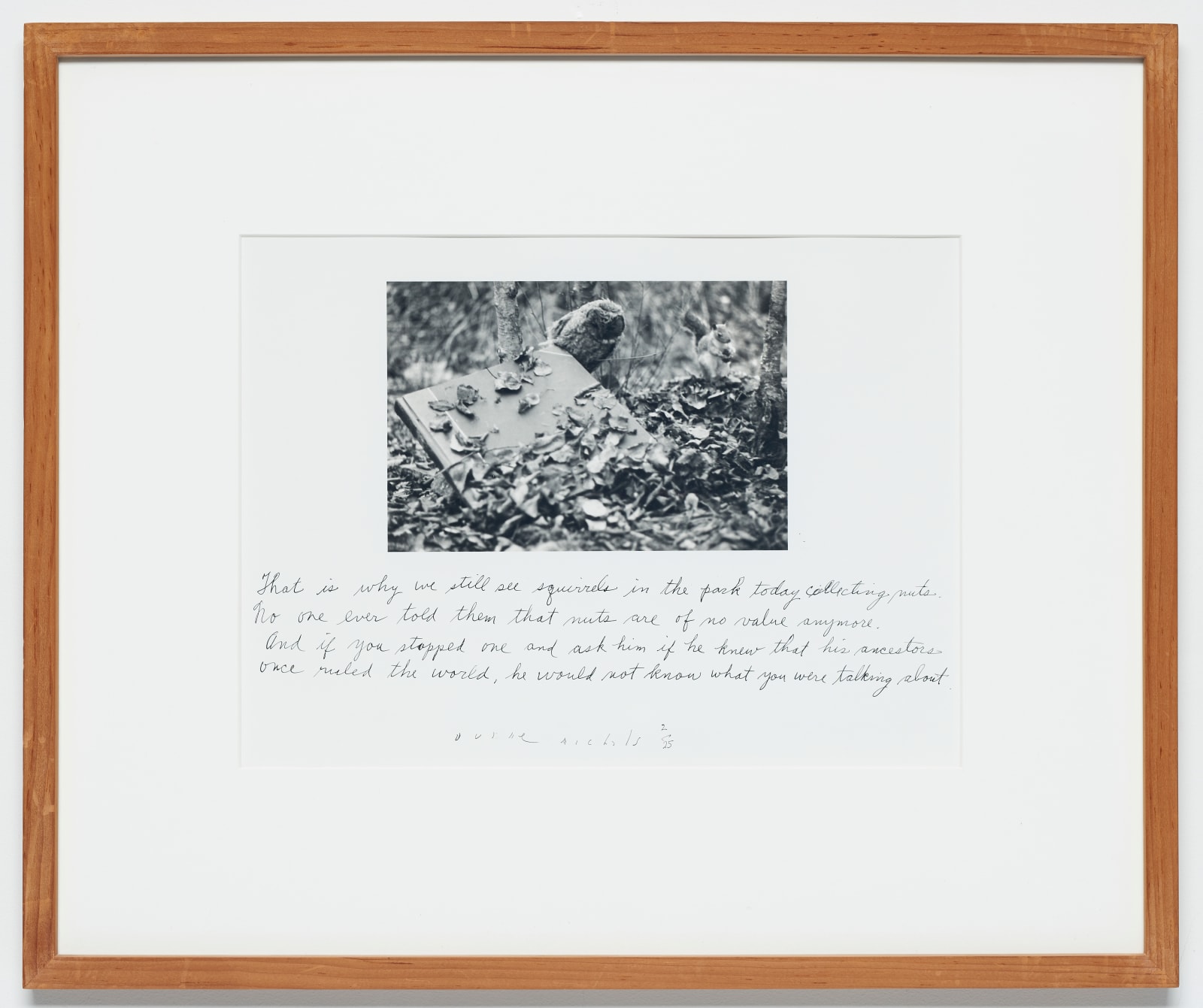 Duane Michals, photograph