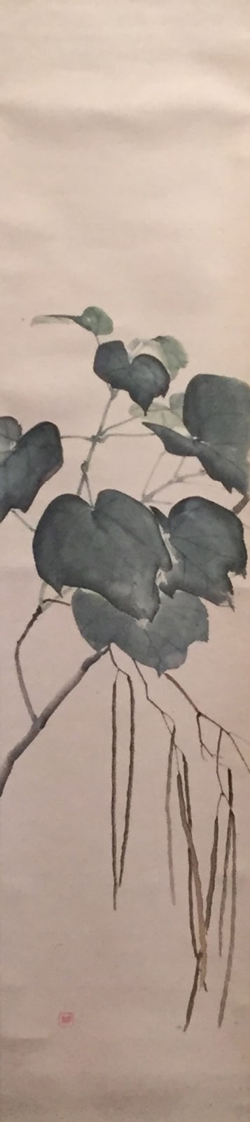 Koen Niwayama, Plant