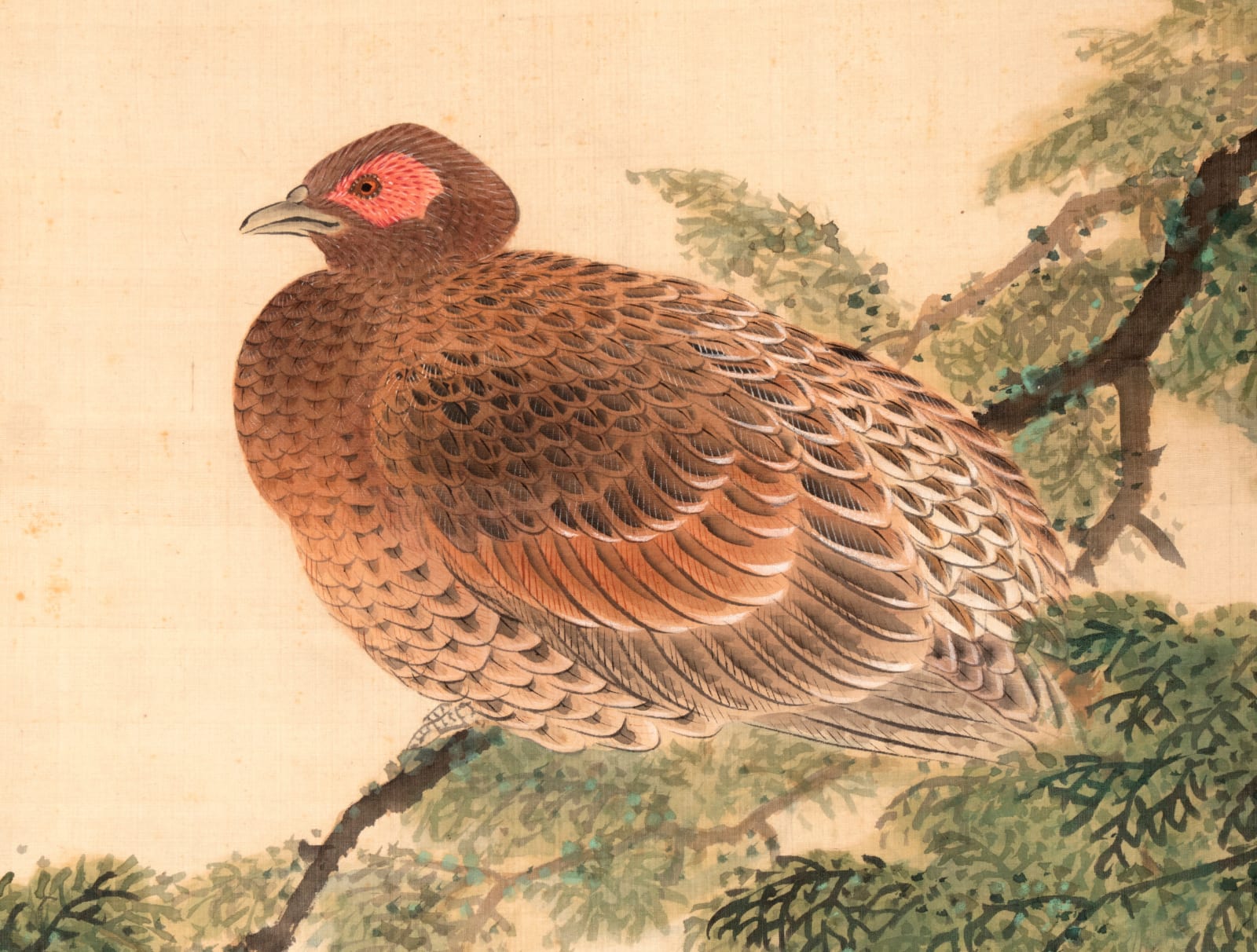 Bunrin Shiokawa, Bird on Branch , ca 1850
