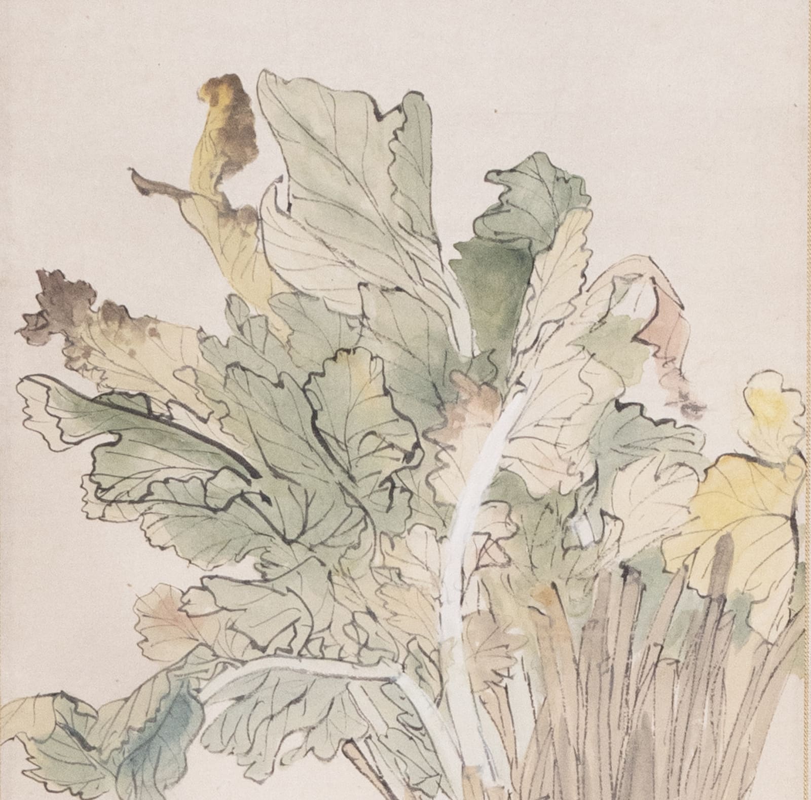 Koen Niwayama, Radish, circa 1890s