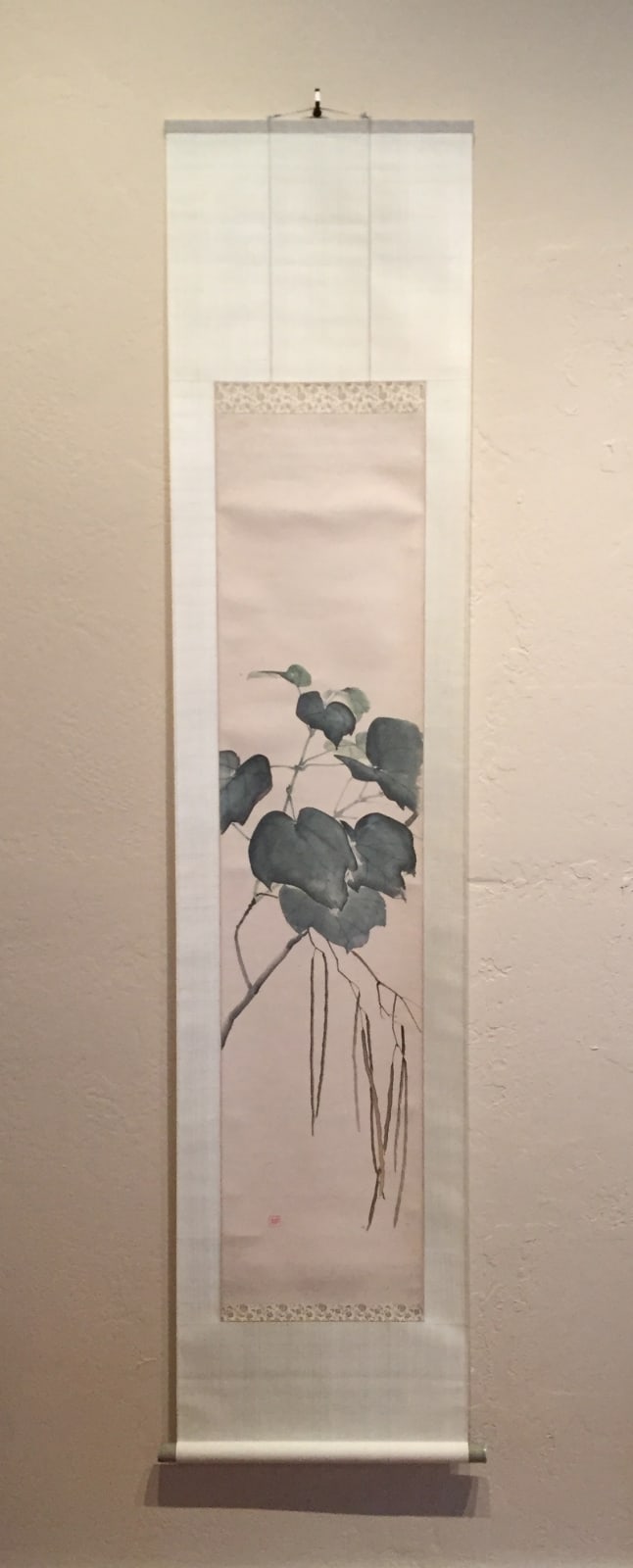 Koen Niwayama, Plant