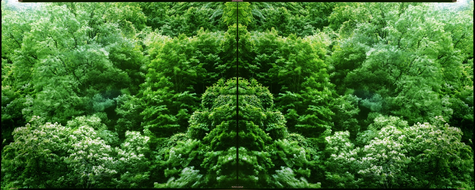 Yojiro Imasaka, Illuminating Earth 127, 2019