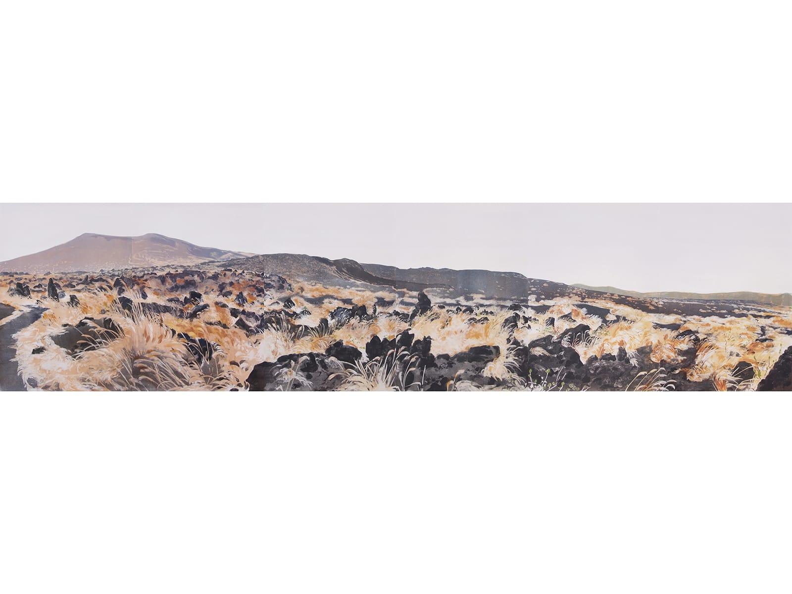 In the Realm of Mount Mihara
