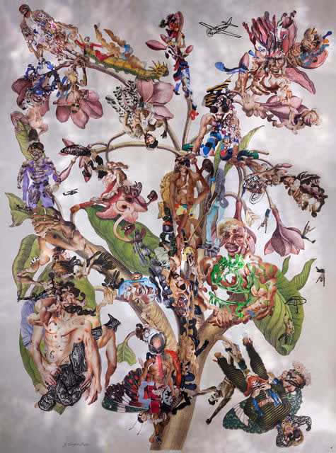 Dominique Paul, Insects of Surinam 23, 2017