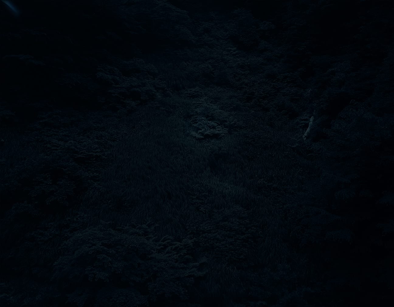 Yojiro Imasaka, Illuminating Earth 142 - C33 May 28, 2020, 2020