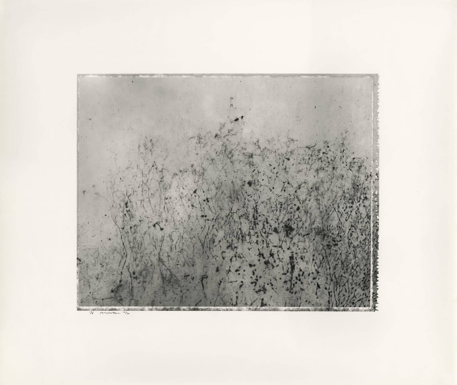 Byung-hun Min, WV018 from the Weed Series, 1996