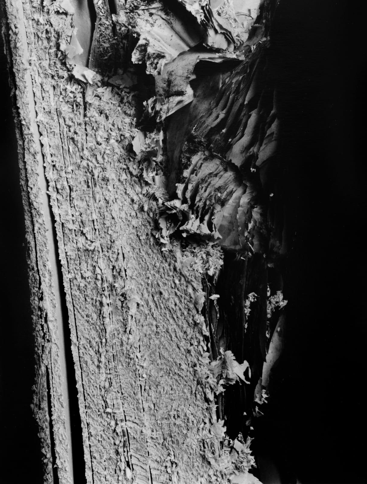 Hitoshi Fugo, KAMI 4, 2001