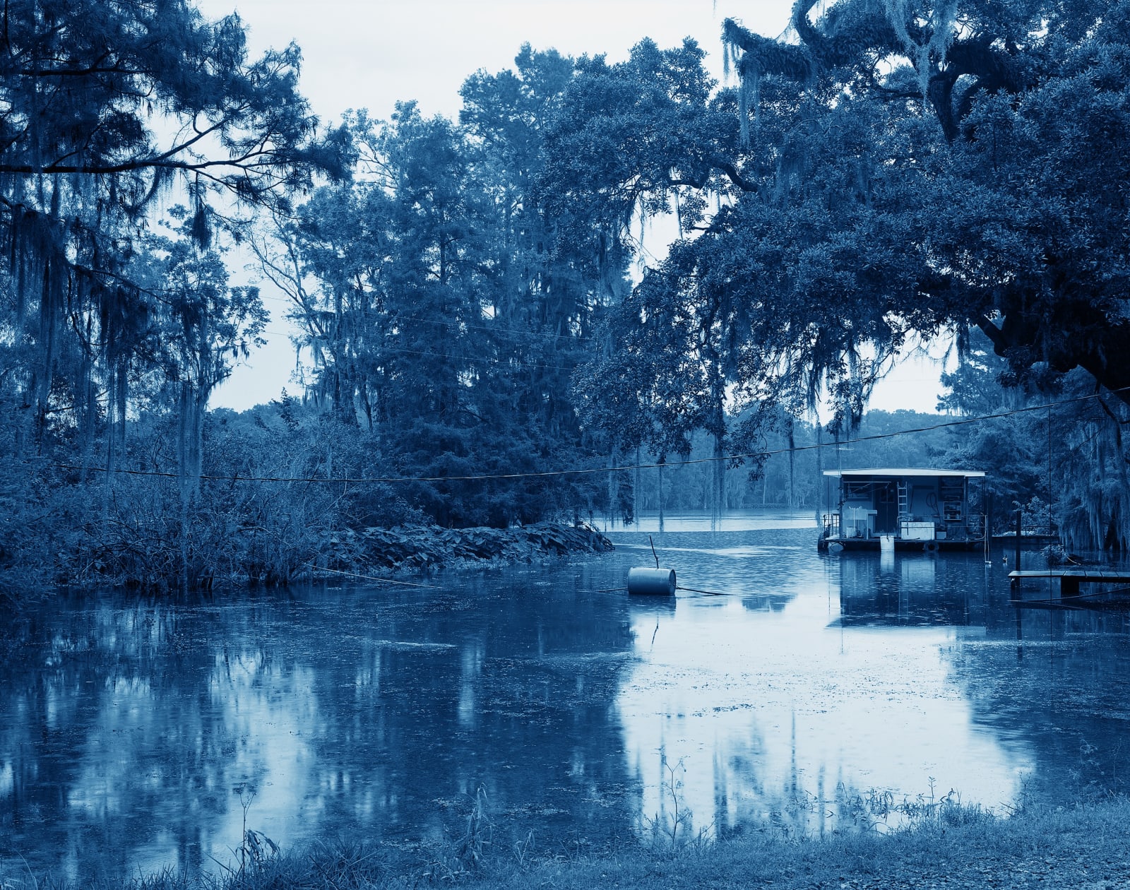 Yojiro Imasaka, Blue Bayou 23, 2016